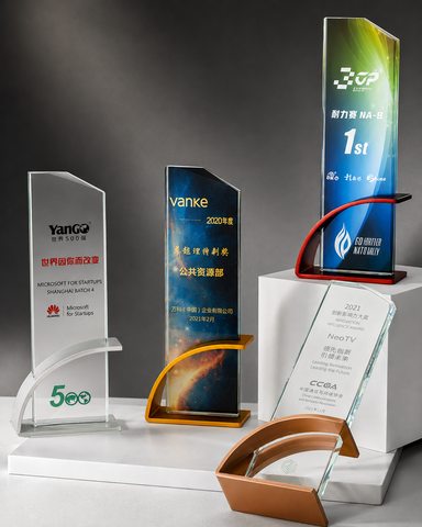 Vertical Corporate Acrylic Award Set - custom acrylic awards with your logo